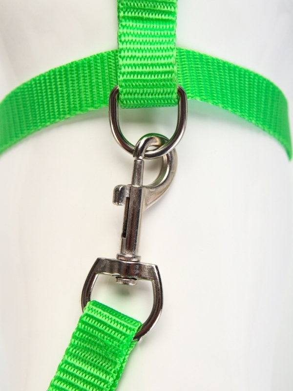 Комплект для кошек, ширина 1,5 см, ОШ 16,5-27 см, ОГ 21-35 см, поводок 120 см, зелёный