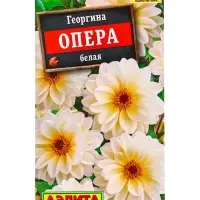 Семена цветов Георгина Опера белая , Ц/П,7 шт. Семена цветов Георгина Опера белая , Ц/П,7 шт.
