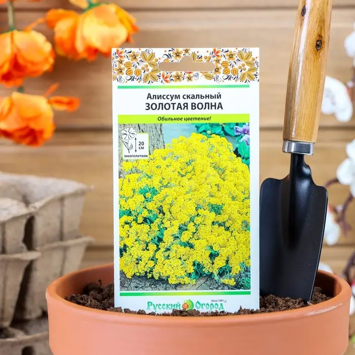 Семена цветов Алиссум  Семена цветов Алиссум "Золотая волна" скальный, серия Русский огород, Мн, 0,1 г