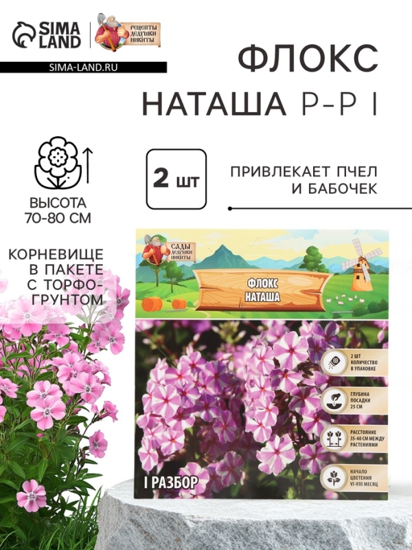 Флокс «Наташа» корневище в пакете с торфогрунтом, р-р I, 2 шт.