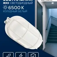 Светильник светодиодный, 6 Вт, 220 В, IP54, 6500К, пластик, решётка, овал, белый