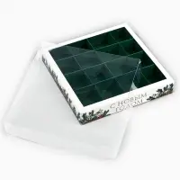 Коробка под 16 конфет с ячейками &laquo;Новогодняя ботаника&raquo;, 19&times;19&times;3 см