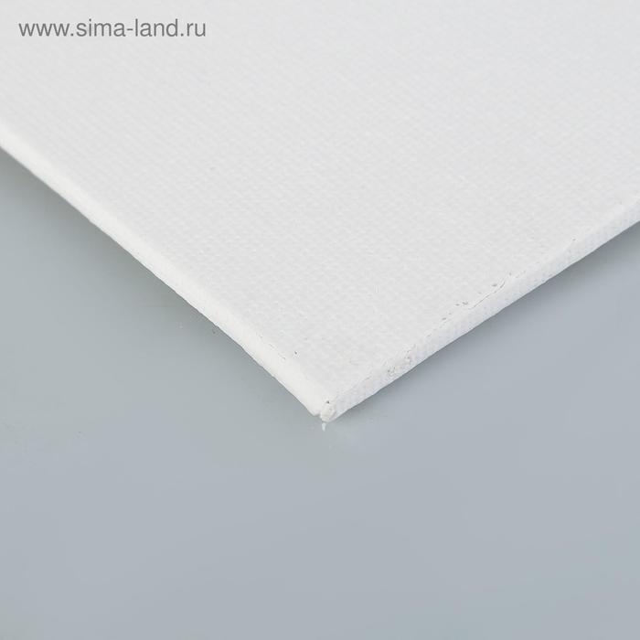 Холст на картоне 30 х 40 см, хлопок 100%, акриловый грунт, мелкозернистый, ЗХК Холст на картоне 30 х 40 см, хлопок 100%, акриловый грунт, мелкозернистый, ЗХК "Сонет", DK13701-30x40