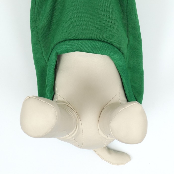 Толстовка  Толстовка "Лягушка", размер L (ДС 35, ОГ 50 см)