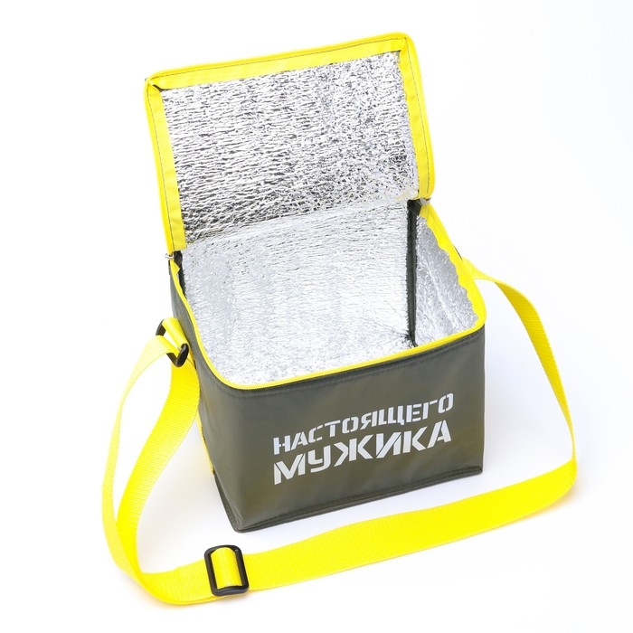 Термосумка под пиво  Термосумка под пиво "Неприкосновенный запас ", 17 x  22 х 18.5 см, с аккумулятором холода