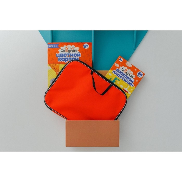 Папка для чертежей и рисунков А3, 470 х 350 х 20 мм, с ручками, текстильная, Calligrata Стандарт, Оранжевая, плотность 600D Папка для чертежей и рисунков А3, 470 х 350 х 20 мм, с ручками, текстильная, Calligrata Стандарт, Оранжевая, плотность 600D