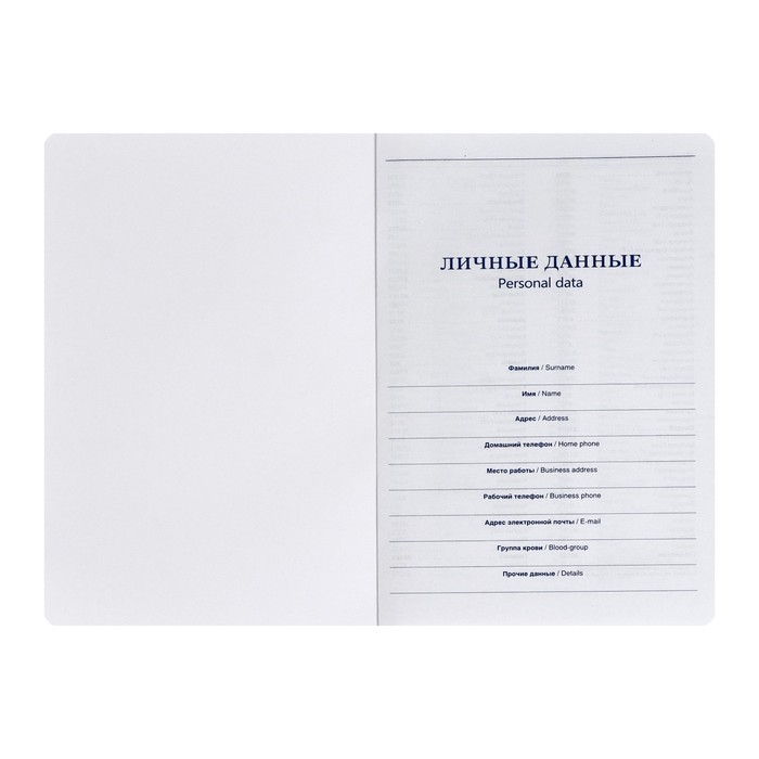 Ежедневник недатированный BOSS А5, 140 листов в клетку, с ручкой, обложка ПВХ, МИКС Ежедневник недатированный BOSS А5, 140 листов в клетку, с ручкой, обложка ПВХ, МИКС