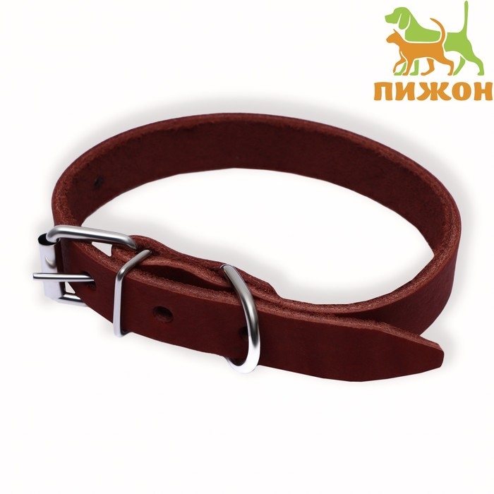 Ошейник кожаный однослойный, 54 х 2,5 см, ОШ 35-45 см, коричневый Ошейник кожаный однослойный, 54 х 2,5 см, ОШ 35-45 см, коричневый