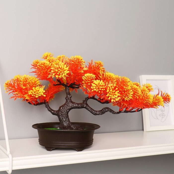 Бонсай Бонсай "Звёздник" 16х22 см, микс