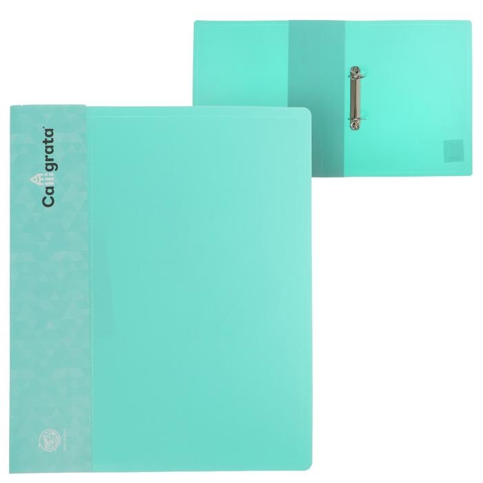 Папка на 2 кольцах А4 Calligrata, 40мм, 700мкм, карман на торце, ледяной зеленый Папка на 2 кольцах А4 Calligrata, 40мм, 700мкм, карман на торце, ледяной зеленый