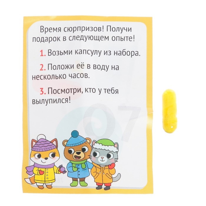 Набор для опытов 13 дней «Новогодний адвент-календарь», 13 опытов