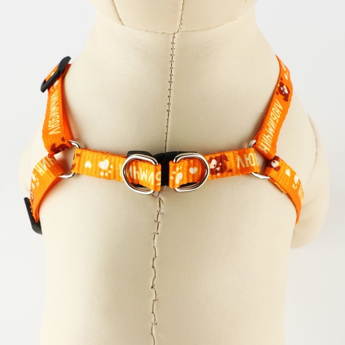 Комплект &laquo;Любимчик&raquo;, шлейка 24-34 см, поводок 120х1 см