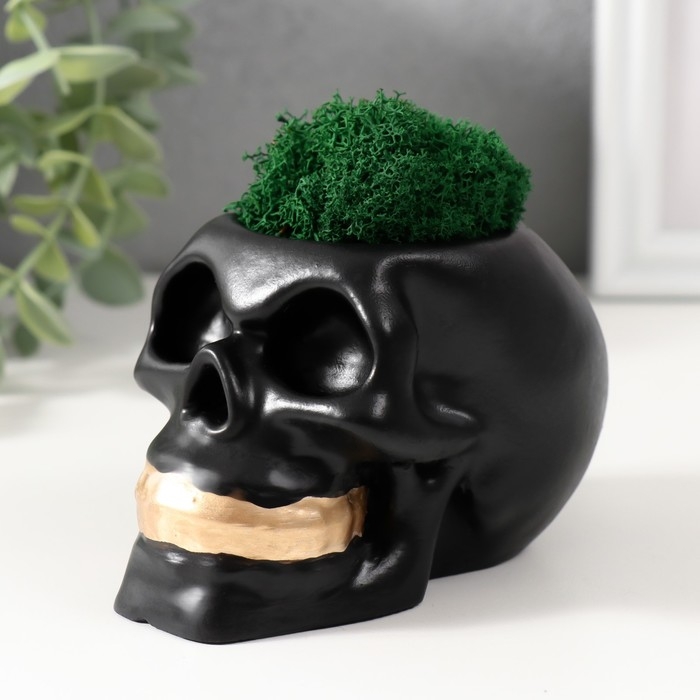 Кашпо бетонное  Кашпо бетонное "Череп Money "со мхом 7х11 см черный с золотыми зубами (мох зеленый стабил)