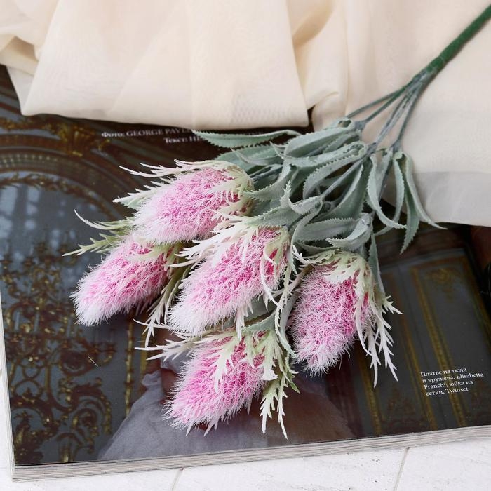 Букет Букет "Альбиция" 32 см, микс