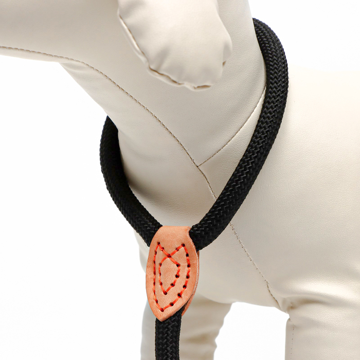 Поводок-удавка 150 х 1 см, полиэстер и натуральная кожа, чёрный Поводок-удавка 150 х 1 см, полиэстер и натуральная кожа, чёрный