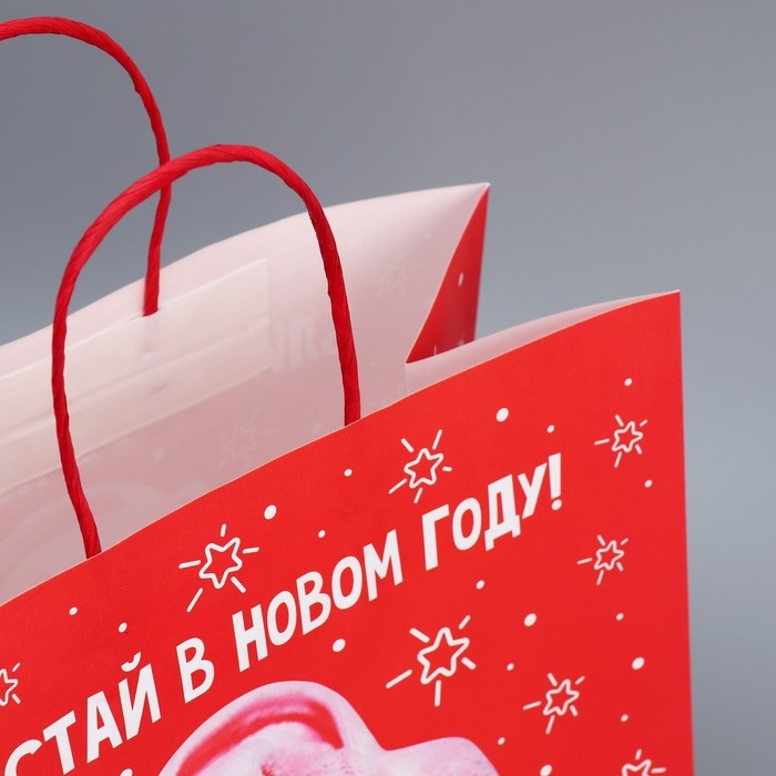 Пакет подарочный новогодний крафтовый «Блистай», 28 х 32 х 15 см, Новый год Пакет подарочный новогодний крафтовый «Блистай», 28 х 32 х 15 см, Новый год