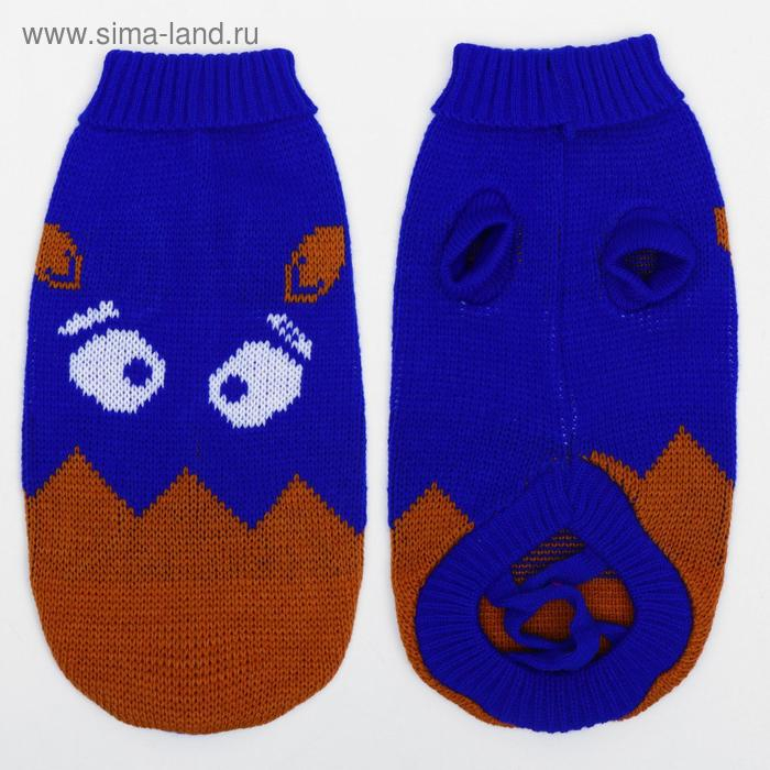 Свитер, размер 12 (ДС 36-51, ОШ 18-33, ОГ 32-47 см), микс расцветок Свитер, размер 12 (ДС 36-51, ОШ 18-33, ОГ 32-47 см), микс расцветок