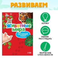 Обучающий набор «Весёлые животные»: животные и плакат, по методике Монтессори, 24 фигурки, 3+