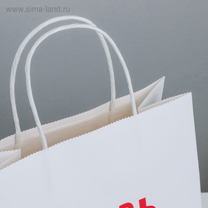 Пакет подарочный, упаковка, «Любовь», 22 х 22 х 11 см Пакет подарочный, упаковка, «Любовь», 22 х 22 х 11 см