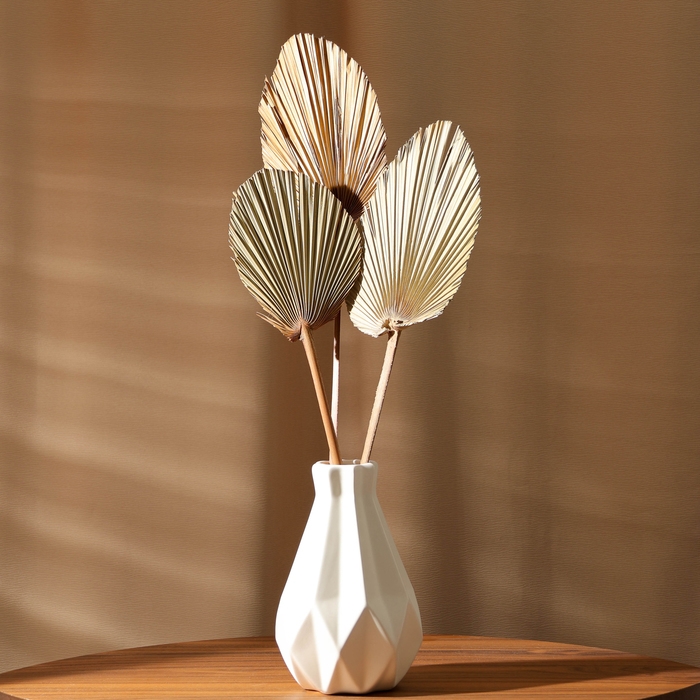 Сухие цветы «Лист пальмовый», 52 × 14 × 2 см Сухие цветы «Лист пальмовый», 52 × 14 × 2 см