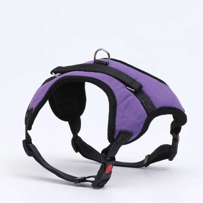 Шлейка К7 мягкая светоотражающая, размер XL, ОГ 74-92 см, вес 28-47,5 кг, фиолетовая Шлейка К7 мягкая светоотражающая, размер XL, ОГ 74-92 см, вес 28-47,5 кг, фиолетовая