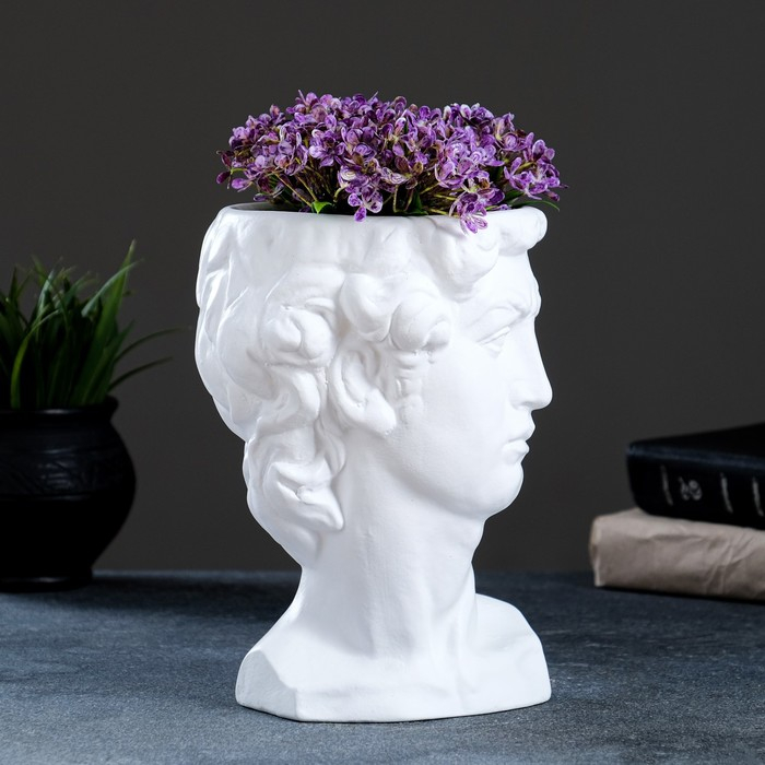 Кашпо - органайзер Кашпо - органайзер "Давид" белое, 1,25л/ 21х15х16см