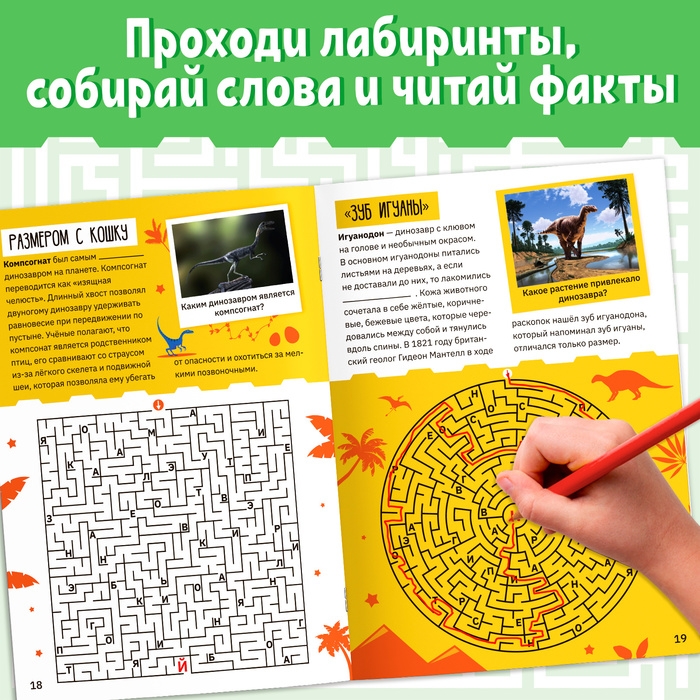 Книга «Лабиринты и факты. Во времена динозавров», 24 стр. Книга «Лабиринты и факты. Во времена динозавров», 24 стр.