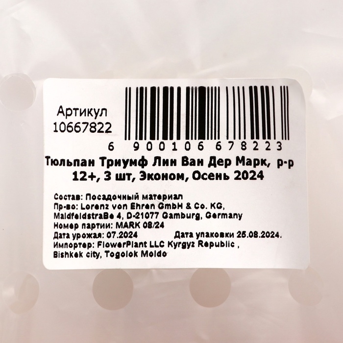 Тюльпан Триумф Лин Ван Дер Марк,  р-р 12+, 3 шт, Эконом, Осень 2024 Тюльпан Триумф Лин Ван Дер Марк,  р-р 12+, 3 шт, Эконом, Осень 2024