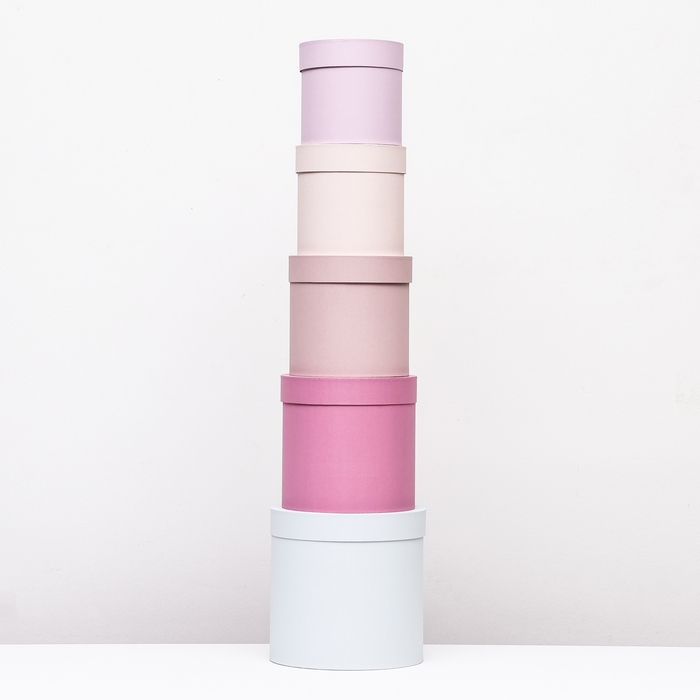 Набор шляпных коробок 5 в 1" Нежность" , 23 х23 - 15 х 15 см