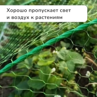 Сетка садовая, мягкая, 5 × 4 м, ячейка 15 × 15 мм, от птиц, Greengo