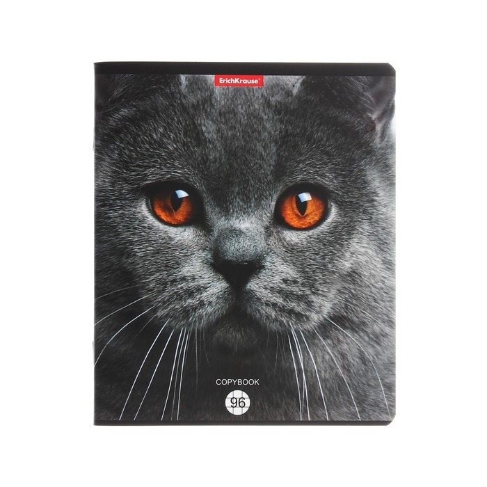 Тетрадь 96 листов в клетку, ErichKrause, Cats, обложка мелованный картон, матовая ламинация, выборочный УФ-лак, блок офсет 100% белизна, МИКС (1 вид в спайке) Тетрадь 96 листов в клетку, ErichKrause, Cats, обложка мелованный картон, матовая ламинация, выборочный УФ-лак, блок офсет 100% белизна, МИКС (1 вид в спайке)