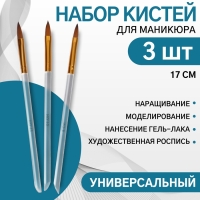 Набор кистей для наращивания и дизайна ногтей, лепесток, 3 шт, 17 см, цвет прозрачный/золотой