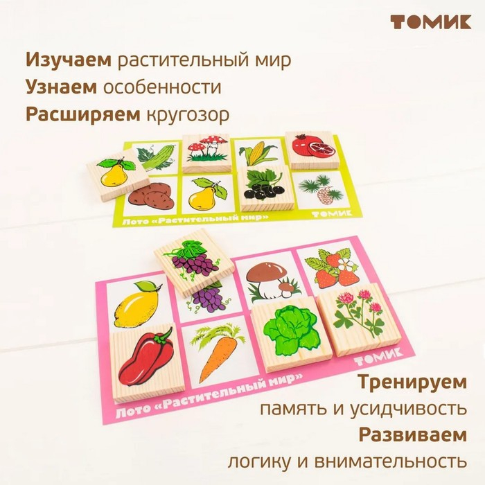 Лото «Растительный мир» Лото «Растительный мир»