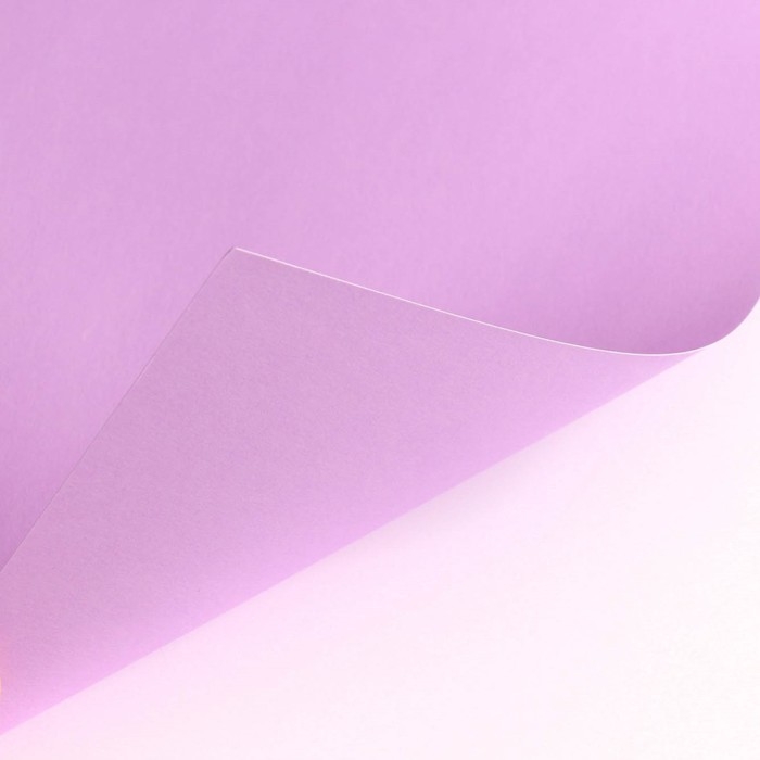 Картон цветной тонированный, А4, 8 листов, 8 цветов, немелованный, двусторонний, в пакете, 180 г/м², Холодное сердце