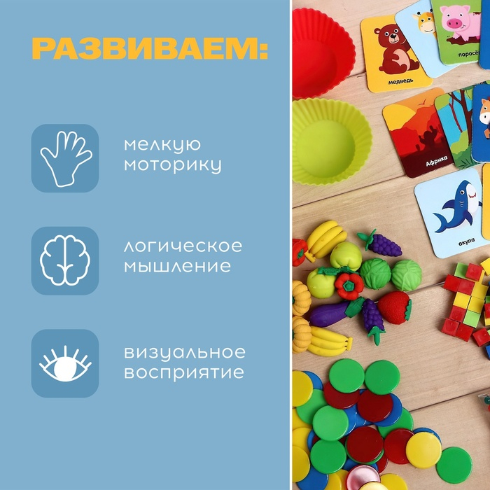 Большой набор «Для сортировки» Большой набор «Для сортировки»