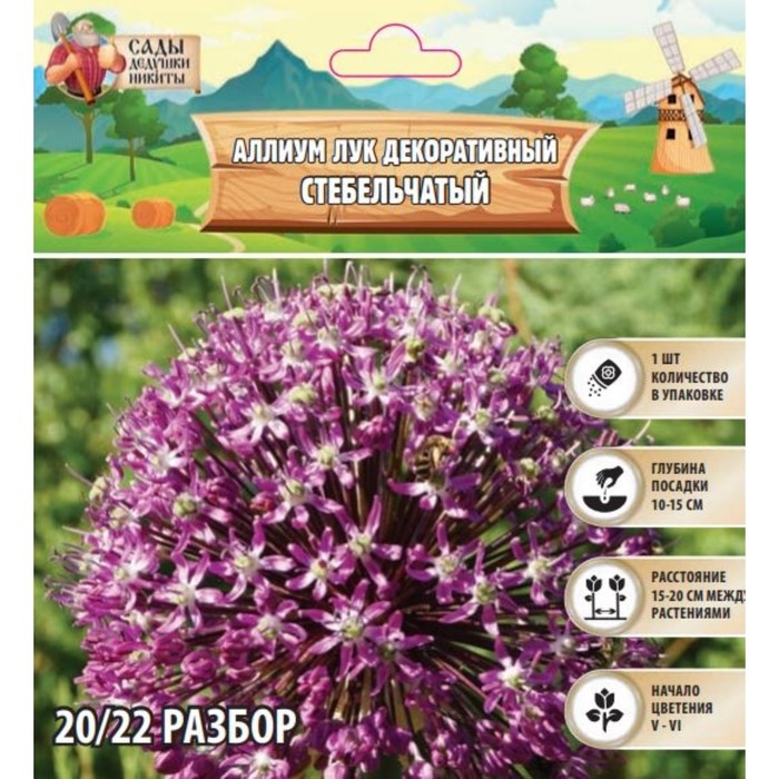 Аллиум лук декоративный Стебельчатый, р-р 20/22, 1 шт, Осень 2024 Аллиум лук декоративный Стебельчатый, р-р 20/22, 1 шт, Осень 2024