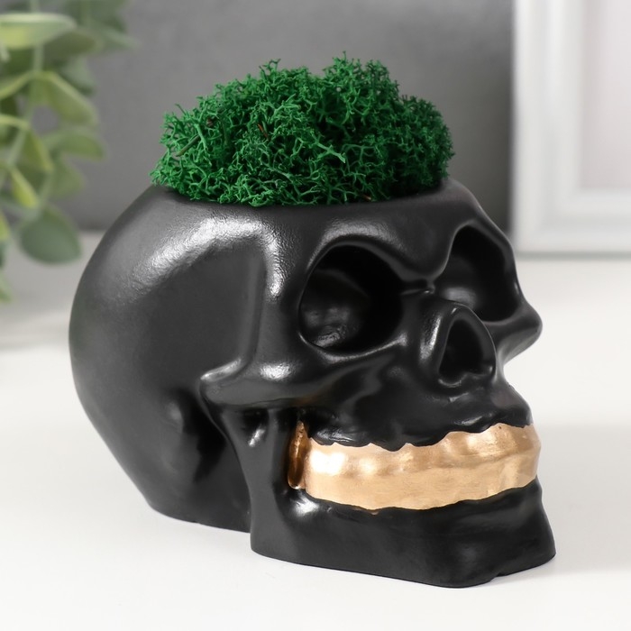 Кашпо бетонное  Кашпо бетонное "Череп Money "со мхом 7х11 см черный с золотыми зубами (мох зеленый стабил)