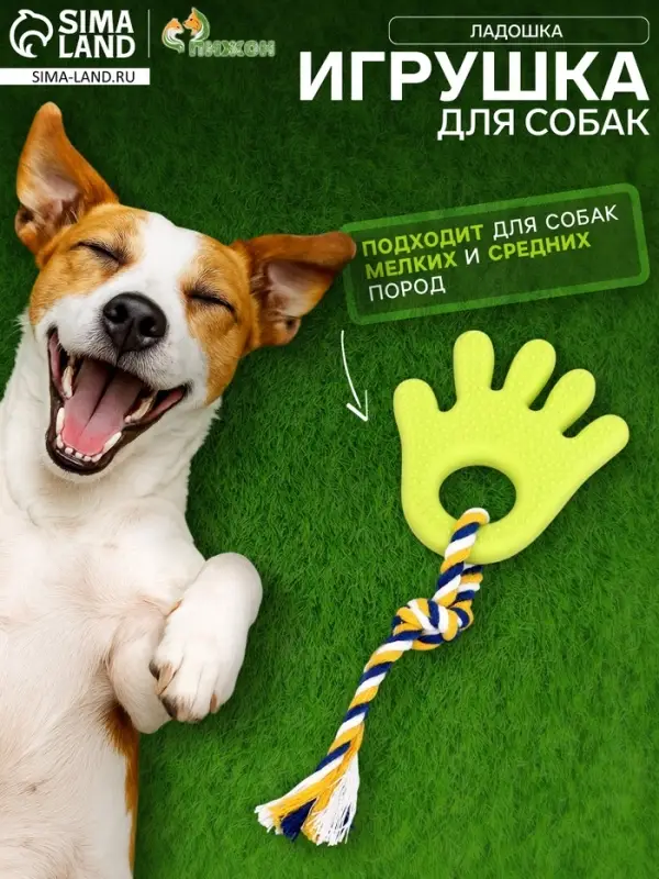 Игрушка жевательная для собак &laquo;Ладошка&raquo;, 10 см, с канатом, салатовая