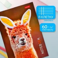 Блокнот Hatber &laquo;В мире животных&raquo;, А6, 24 листа, на скобе, МИКС