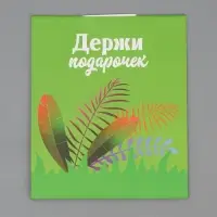 Пакет подарочный с формовым клапаном, упаковка, &laquo;Львенок&raquo;, 23&times;27&times;11.5 см