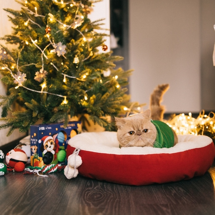 Лежанка  Лежанка "Снежок", 56 х 46 х 13 см, синий