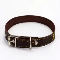 Ошейник &laquo;Красавчик&raquo;, 60&times;2.5 см, однослойный, тиснение фольгой, кожа, цвет МИКС