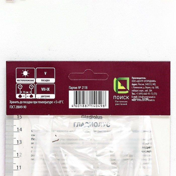 Гладиолус крупноцветковый «Фиделио»,луковица цветов в пакете, р-р 10/12, 10 шт.