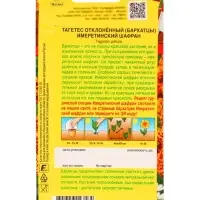 Семена Цветов Бархатцы &laquo;Имеретинский шафран&raquo;, отклоненные, ц/п, 0.2 г
