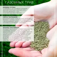 Газонная травосмесь &laquo;Гринкипер&raquo; &laquo;Северная&raquo;, 5 кг