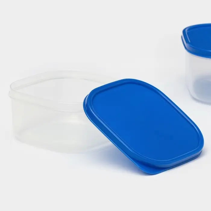 Набор контейнеров пищевых Доляна, квадратных, 2 шт: 450 мл, 700 мл, цвет голубой Набор контейнеров пищевых Доляна, квадратных, 2 шт: 450 мл, 700 мл, цвет голубой