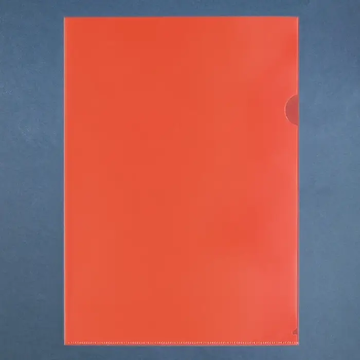 Набор папок-уголков А4, 100 мкм, Calligrata Выгодные, прозрачные, 5 штук, микс