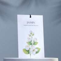 Аромасаше "Jasmin", жасмин, 11 г