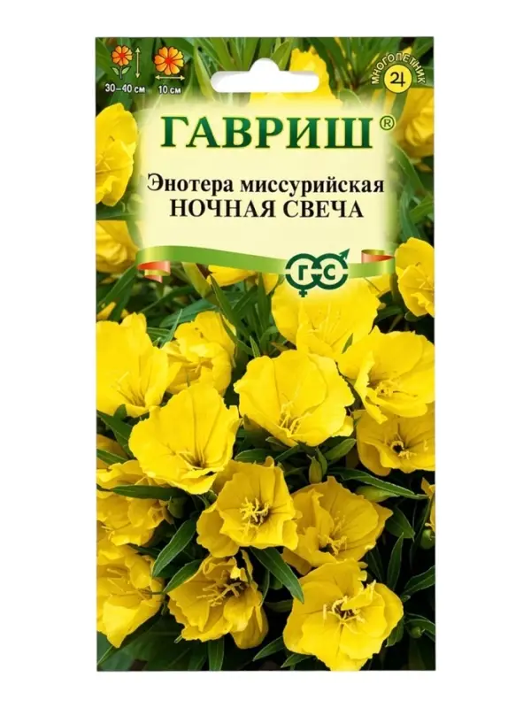 Семена цветов Энотера &laquo;Ночная свеча&raquo;, 0.2 г, &laquo;Гавриш&raquo;