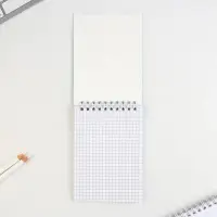 Блокнот А6, 40 л на гребне, мягкая обложка «Енотик - блокнотик»